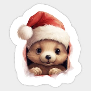 Christmas Peeking Baby Bear Sticker